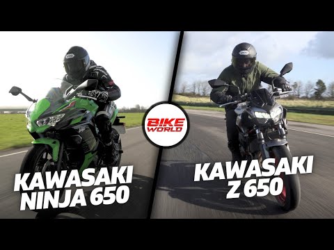 Kawasaki Ninja & Z650 | Same Engine 2 Different Bikes, Still fun?