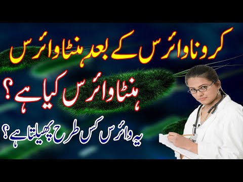 What is Hanta Virus? - How does Hanta virus spread?- New Virus in China - in Urdu&Hindi