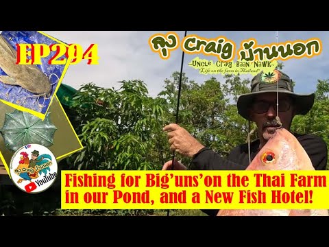 EP294 Fishing for Big'Uns' on the Thai Farm in our Pond! and a New Fish Hotel!