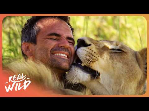 The Lion Whisperer: The Incredible Bond Between Man and Africa's Apex Predators