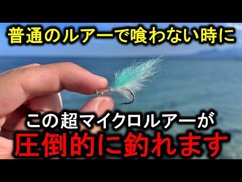 ジグに結ぶだけで堤防から幻の魚や青物が喰いまくる、品薄の小型ルアーがスゴい…