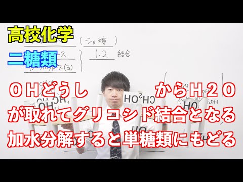 【高校化学】天然高分子② 〜二糖類〜