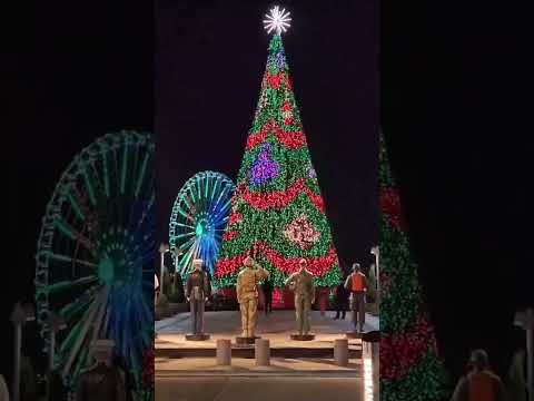 TIME OF THE YEAR: CHRISTMAS AT THE NATIONAL HARBOR! #youtube #christmas