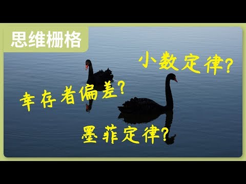 概率思维（一）几个关于概率的小故事，幸存者偏差，小数定律，墨菲定律