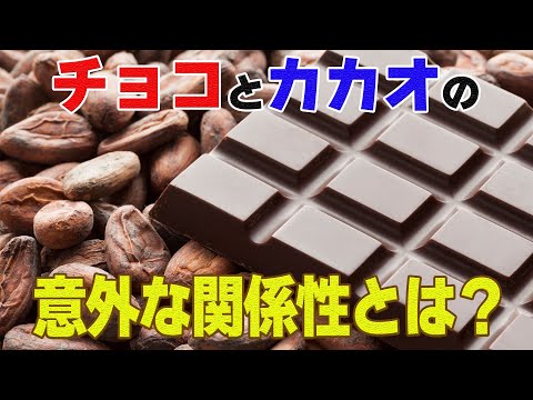 チョコレートとカカオの関係性とは？