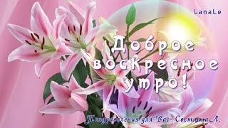 Доброе воскресное утро!/ С добрым утром!/ С воскресеньем!/  Хорошая мелодия!