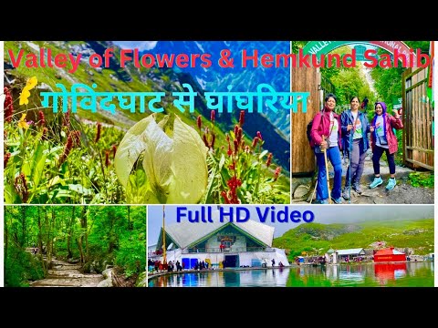 Toughest 13 Kms & 8 Hrs Trekking From Govindghat to Ghangaria | Valley of Flowers and Hemkund Sahib