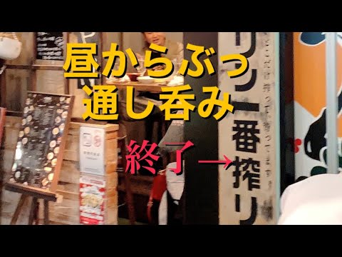 【呑み動画】昼から酒場を求め金山・名駅を放浪