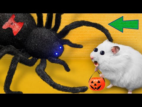 🎃 Halloween Hamster Maze 🐹 Escapes from Scary Prison!