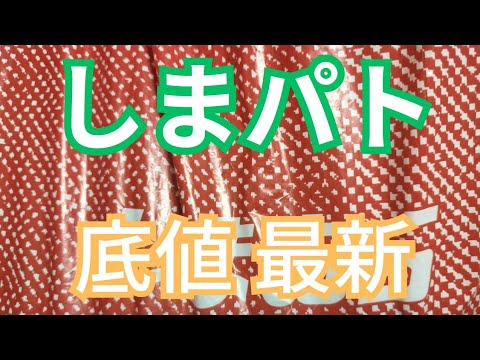 【速報‼️】嬉しすぎる底値！110円‼️330円‼️今日のしまむらもお得でした‼️