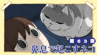 アニメ『夜は猫といっしょ』第63夜「鼻息で起こすネコ」