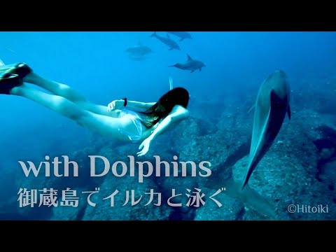 御蔵島ドルフィンスイム：Swimming with Wild Dolphins (Mikura Island, Japan, 2017)