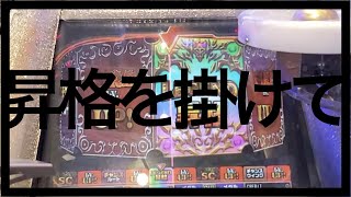 【メダルゲーム】レジェンドに昇格したが（グランドクロスレジェンド）