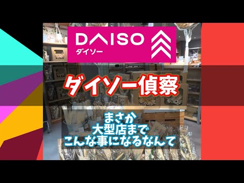 【ダイソー偵察】まさか、大型店までこんな事になるなんて！ #ダイソー #daiso #観葉植物 #houseplants #観葉植物のある暮らし