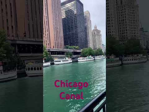 Exploring the Windy City's Waterways: Chicago Canal Adventure!