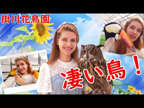 【静岡・掛川観光】掛川花鳥園‼可愛すぎる鳥たちに癒された♪