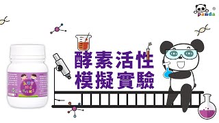 酵素活性模擬實驗 | 乳糖寶綜合消化酵素 | 寶寶消化酵素