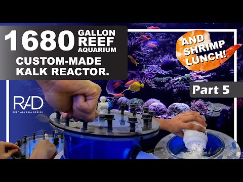 1680 GALLON REEF AQUARIUM CUSTOM-MADE KALK REACTOR PART 5  AND SHRIMP LUNCH BY REEF AQUARIA DESIGN.