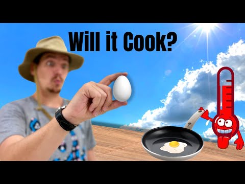 Can you fry an egg in the sun? | India Vlog 20