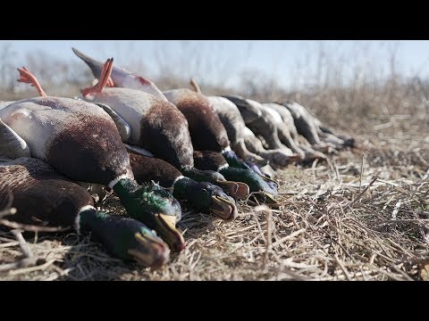 River Duck Hunting: "Red Dirt Cabbies" - Fowled Reality