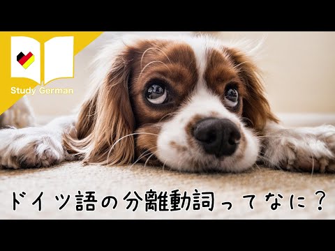 ドイツ語の分離動詞ってなに？