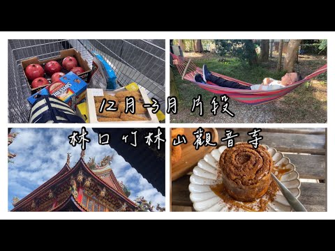 Vlog🩷林口竹林山觀音寺🫶🏻桃園戶外餐廳、Costco採購、確診第二次🥹