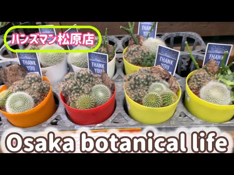 🍃Osaka botanical life🍃ハンズマン松原店に行ってきました💛