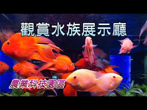 農業科技園區觀賞水族展示廳