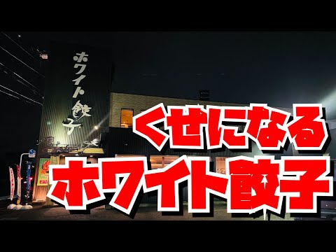 【埼玉グルメ】餃子専門店・中毒性あり、他では味わえない餃子