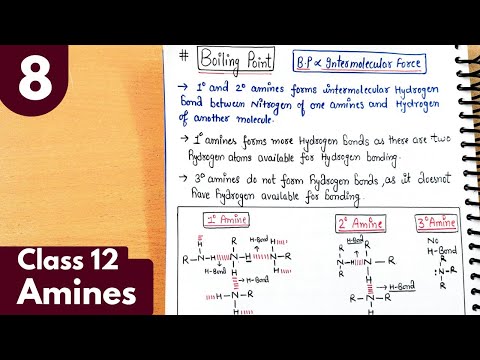 8) Boiling point and solubility of amines| Amines vs alcohols| Amines Class12 Chemistry #neet #jee