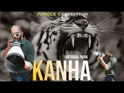 Kanha National Park | Mukki Gate | The Safari of a Lifetime