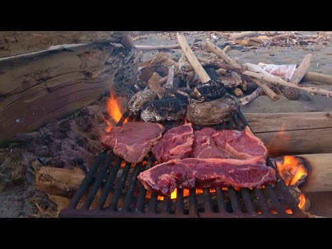 Beach Camp and Cook Gisborne New Zealand