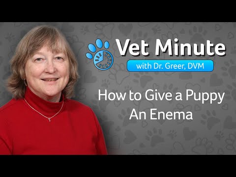 Vet Minute: How to Give an Enema to a Puppy