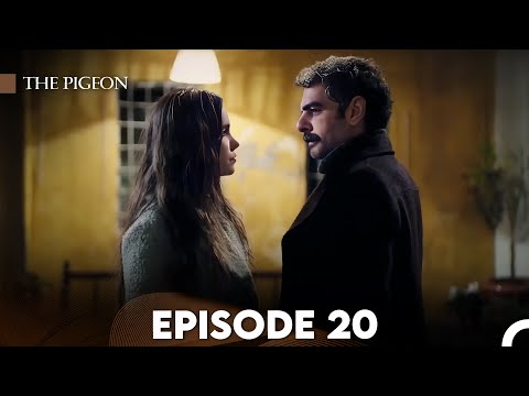 The Pigeon Episode 20 (FULL HD)