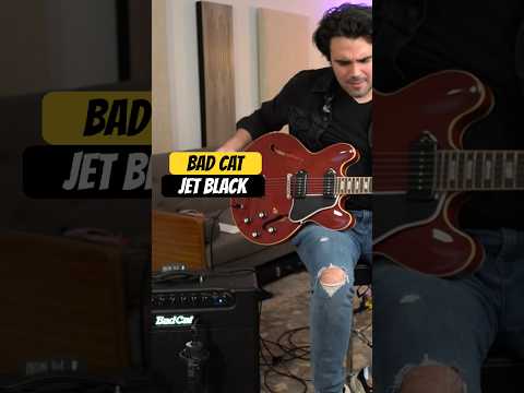 The Bad Cat Jet Black Guitar Amp #electricguitar #guitar #badcat