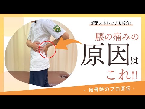 【腰痛〜腰を回したときの痛み〜】体を回して振り返ろうとしたとき、野球やゴルフのスイングなどで体を回したときに痛みが走るときのストレッチ！｜接骨院のプロが教えるお家セルフケア｜テラピスト接骨院