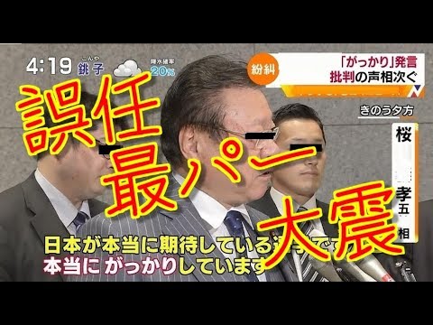 五輪サイバー相　桜田論外の変　ガッカリ　最パー大臣　日本懐疑