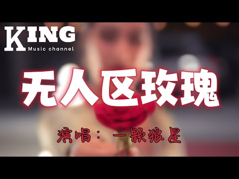 无人区玫瑰-一颗狼星【压抑，是我望眼欲穿的一个你。心意，是我焚毁一切只为留住你。［动态歌词］