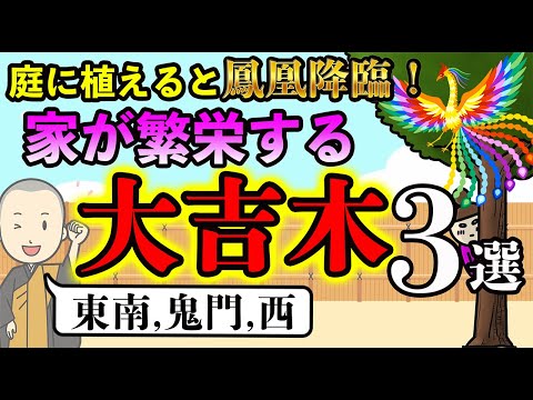 【庭に植えるだけで開運】庭に〇〇の木を植えると鳳凰が宿り、家が繁栄する樹木３選！