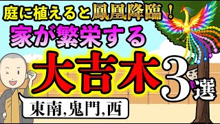 【庭に植えるだけで開運】庭に〇〇の木を植えると鳳凰が宿り、家が繁栄する樹木３選！