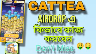 CATTEA Ai Airdrop এ কিভাবে কাজ করবেন | CATTEA  New Airdrop 🔥 New Telegram Bot 🤑