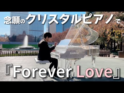 【クリスタルピアノ】小鳥も唄いだす🕊️Forever Love/XJAPAN