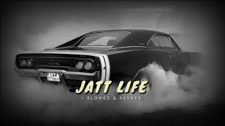 Jatt Life ( Slowed & Reverb ) - Varinder Brar