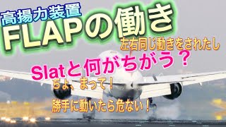 離着陸時には欠かせない！「FLAP」の働き