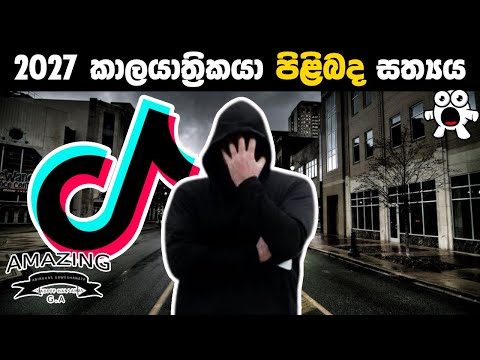 සමාන්තර ලෝකයක සිට Tik Tok කරන 2027 කාලයාත්‍රිකයා පිළිබද සත්‍යය The Man From 2027 unicosobreviviente