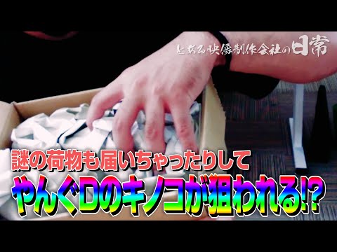 【番組制作の裏側】♯0007 やんぐDのキノコが狙われる!?