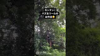 【即効性アリ】バズるインスタリールのコツ。これからインスタ集客したい方♫ リール動画の即回る作り方♫ この方法で137万回突破しました。立証済み。ぜひお試しを♫ #shorts #subscribe