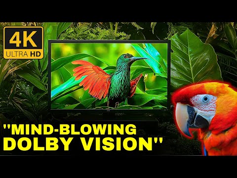 Dolby Vision: MIND-BLOWING 4K HDR 120FPS ULTRA HD: The Ultimate Visual Experience!