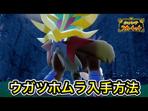 【ポケモンSV】ウガツホムラの入手方法！出現場所まで案内します