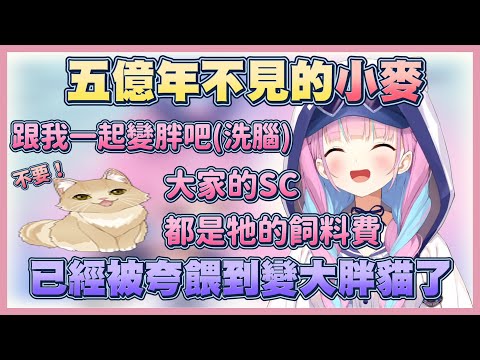 【大肥貓】把麥醬餵到6公斤的夸，竟想讓牠變成跟自己一樣的Debu(悲)【湊阿庫婭】【Vtuber翻譯】